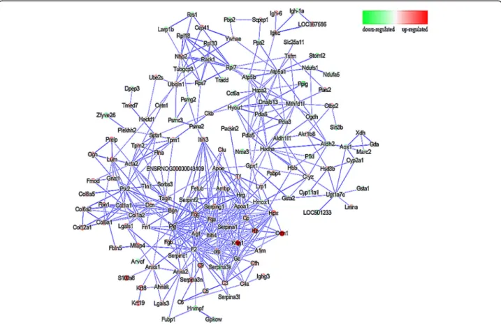 Fig. 7 Differentially expressed gene network interaction diagram. The bigger the circle, the greater degree value of the gene in the network