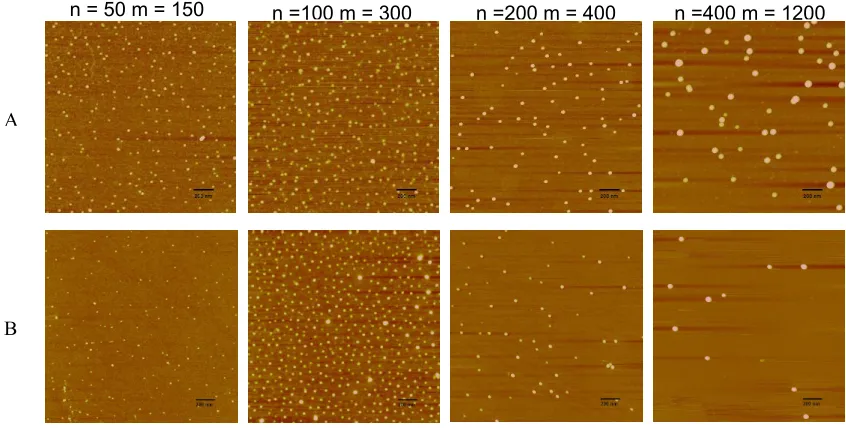 Figure 2.4. A) AFM images of micelles.  B) AFM images of crosslinked nanoparticles.  The nanoparticle diameters are observed to increase with increasing molecular weight of the constituent block copolymers