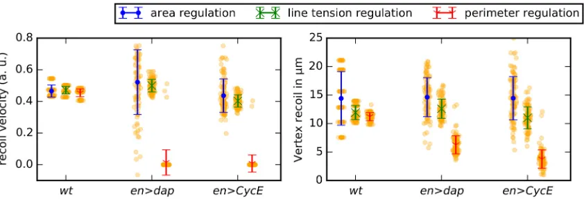 Fig 8. Simulated laser ablation experiments allow discrimination between asymmetry scenarios