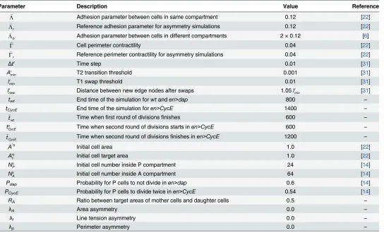 Table 1. Description of non-dimensionalized parameter values used in our simulations.