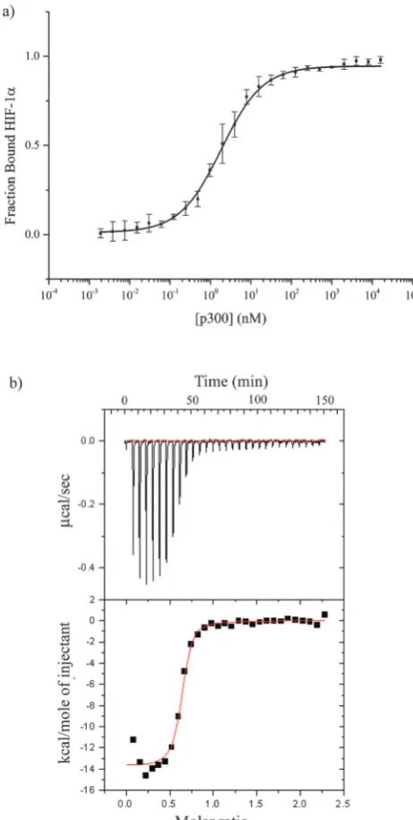 Fig. 2Direct binding of HIF-1a786–826 C-TAD to CH1 p300. (a) Fluores-cence anisotropy using the FITC-HIF-1a786–826