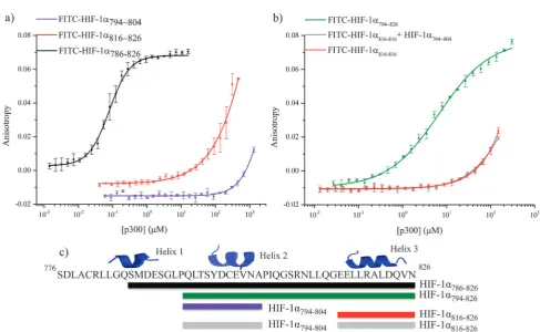 Fig. 3Schematic of peptide fragments to be investigated to highlight key binding regions of HIF-1a.