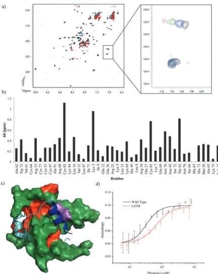 Fig. 7Analysis of the binding site of PDDP1. (A) p300 15N–1H HSQC experiment, apo_p300 (black) upon titration of PDDP1 at increasing concentrations,300 mM (blue), 545 mM (green) and 750 mM (red)