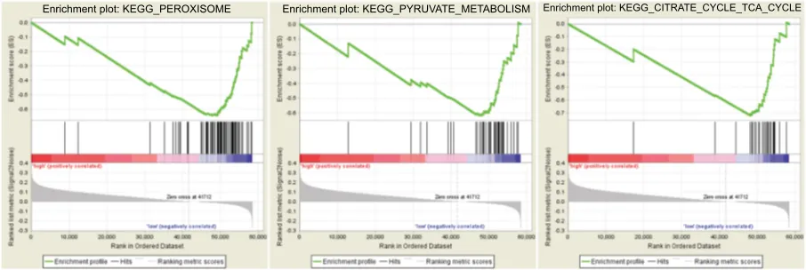 Figure 8 gene set enrichment analysis.