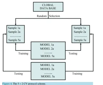 Figure 4. The 5 × 2 CV protocol scheme.                                                           