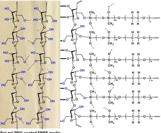 Figure 5. Schematic representation of surface bonded sol-gel PEG coating on cellulose fabric surface