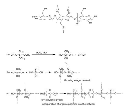 FIGURE 2 