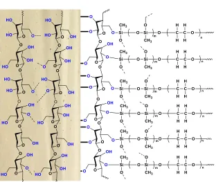 FIGURE 4  