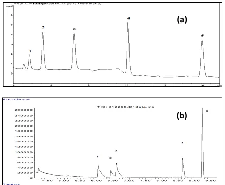 FIGURE 11 