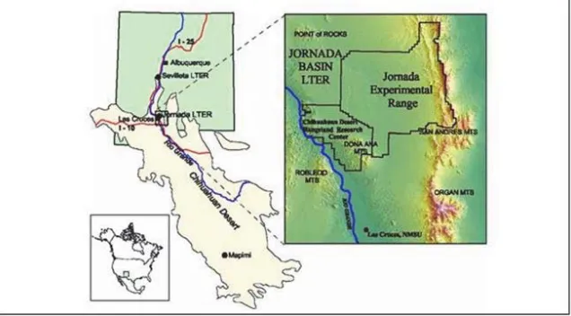 Figure 1.   Location of Jornada Basin, New Mexico, USA (Modified from Monger  