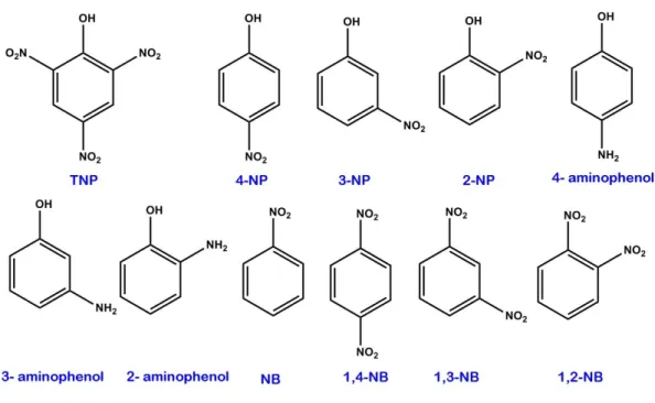 Figure S13. The chemical structures of TNP, 4-NP, 3-NP, 2-NP, 4-aminophenol, 3-