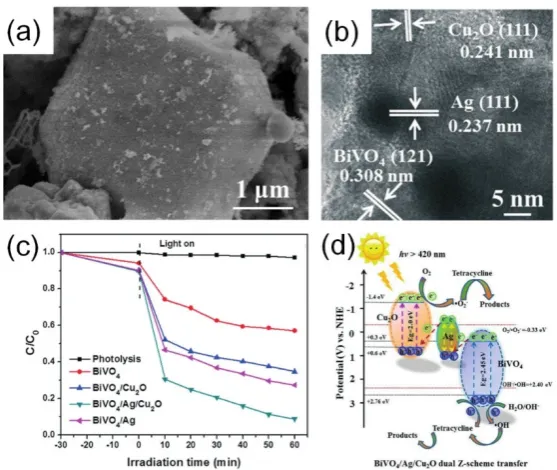Figure 8. Morphology (a) and composition (b) characterizations of BiVO4/Ag/Cu2O composites