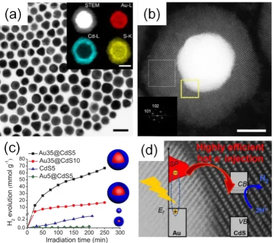 Figure 1. (a) and (b) Morphology characterization of prepared Au@CdS nanocrystals. Scale bar in 