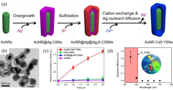 Figure 2. (a) Schematic illustrating the synthesis route of Au-CdS yolk-shell nanostructures