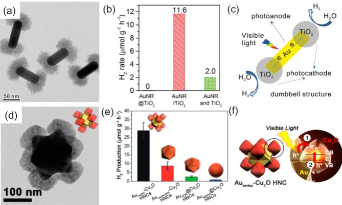Figure 3. (a) TEM image of Au/TiO2 nanodumbells. (b) Hydrogen evolution rate by various 