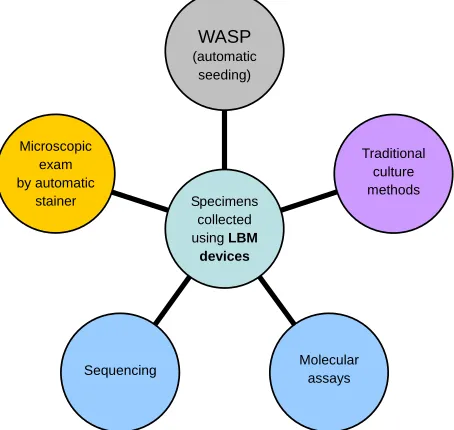 Figure 1. Central role of LBM devices in a multidirectional and multi-tasking laboratory