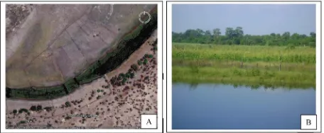 Figure 1.  Molapo farms, partly flooded (A) (VanderPost, 2009) and an example 