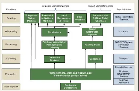 Figure 2.2: Mapping Activities of Core Actors in Organic Vegetable Value Chain 