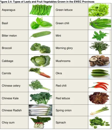 Figure 2.4: Types of Leafy and Fruit Vegetables Grown in the EWEC Provinces 