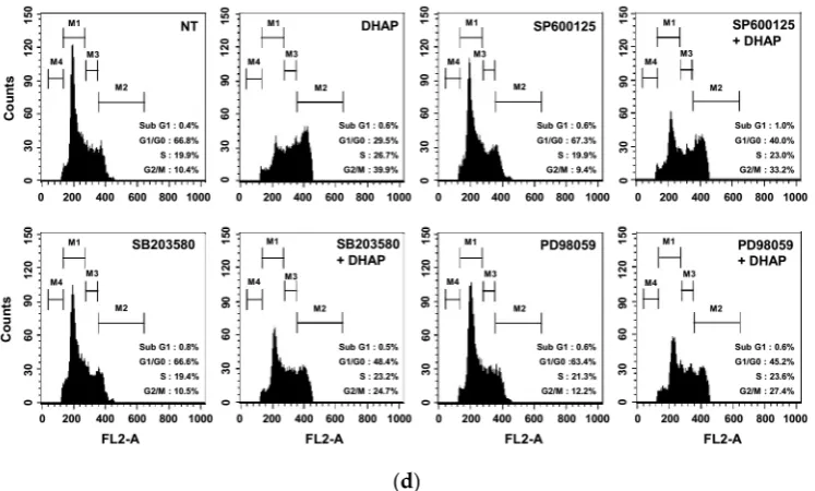 Figure 3. Effect of DHAP on MAPK activation in U266 cells. (A) The cells were treated with 100 μM of DHAP for the time periods stated; whole-cell extracts were then prepared and analyzed via Western blot analysis for p-p38 (Thr180/Tyr182), p-JNK (Thr183/Ty