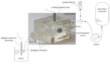 Figure 2 The experimental set-up used for the formation of stabilized lipid films on  