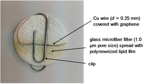 Figure 3. Photo of the lipid membrane based biosensor on graphene 