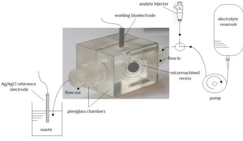 Figure 2. Schematic of the experimental set-up; the micromachined chambers are 