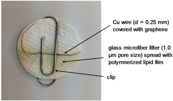 Figure 3. Schematic of a lipid membrane based biosensor on graphene 