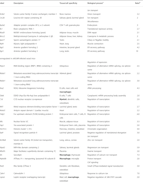 Table 1 (Continued )