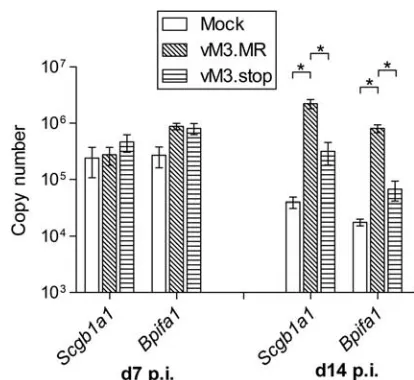 Table 3 Oligodeoxynucleotide primers used in quantitativeRT-PCR