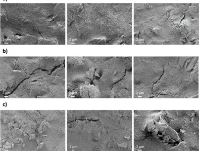 Figure 10: SEM images measured on the surface of three different sensors: a) SPE sensors before use,  b) SbFSPE sensors after being used five times, and c) bare SPE after being used five times by employing the multiple standard addition method