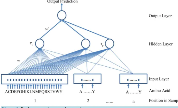 Figure 1. Back propagation neural network. 