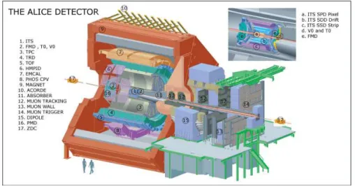 Figure 2.8: Layout of the ALICE experiment.