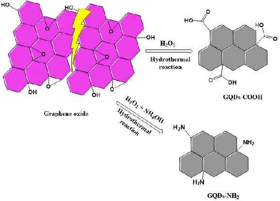 Figure 1. Illustration of the preparation of GQDs from graphene oxide. 