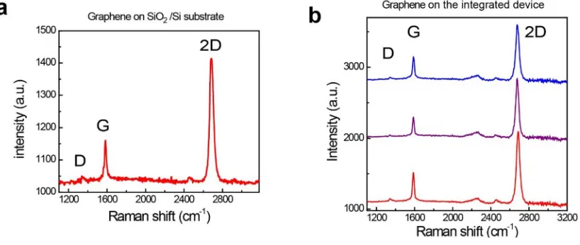 Figure S2. Raman characterization of the transferred graphene. Raman spectra of the transferred 