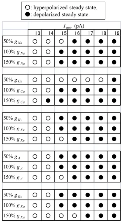 Figure 1. Time courses of the membrane potential of the model. The responses of the model to the stimulation of various ampli-tudes (from 13 to 19 pA) are superimposed