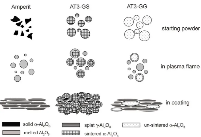 Figure 5. Representation of phase transformation and microstructural development in dif-ferent AT3 feedstocks during plasma spraying