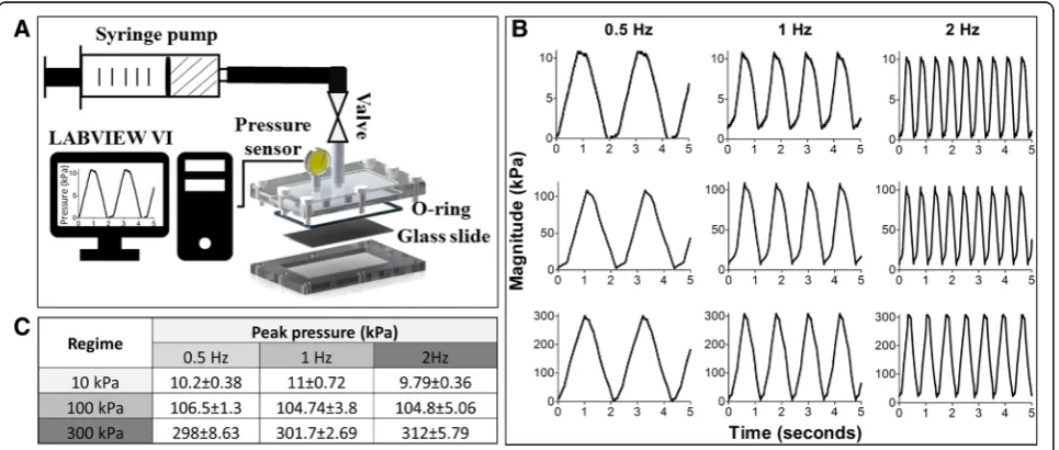 Fig. 1 Pressure bioreactor design configuration (a) and validation of cyclic hydrostatic pressure regimes of 10 kPa, 100 kPa and 300 kPa atfrequencies of 0.5 Hz, 1 Hz, 2 Hz