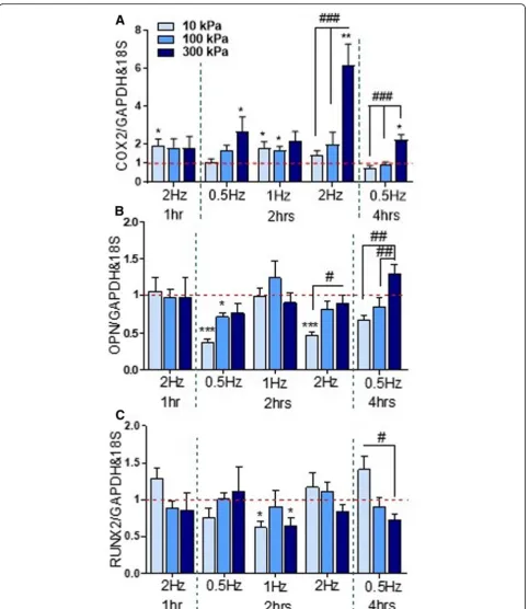 Fig. 2 a–c Effect of cyclic hydrostatic pressure magnitudes of 10 kPa, 100 kPa and 300 kPa on early osteogenic gene expression in humanskeletal stem cells at frequencies of 0.5 Hz, 1 Hz and 2 Hz