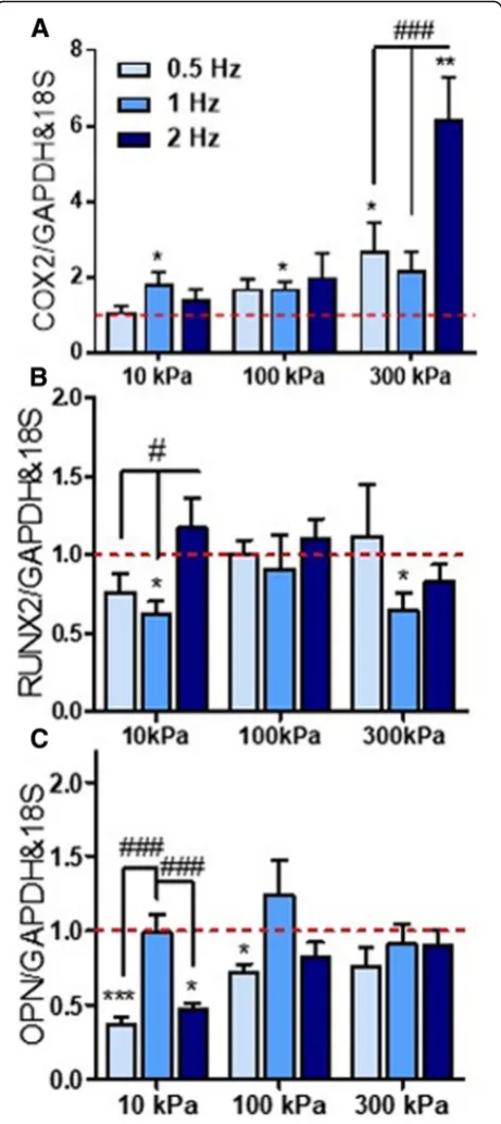 Fig. 4 a–c Effect of duration of CHP stimulation on early osteogenicgene expression at frequencies of 0.5 Hz (2 and 4 h) and 2 Hz (1 and2 h)