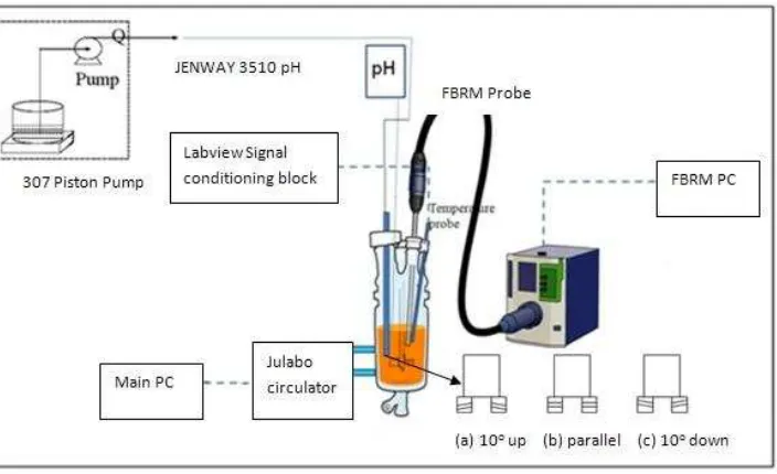 Figure 1. The 1L rig that was used for both seeds preparation and reactive crystallization processes 