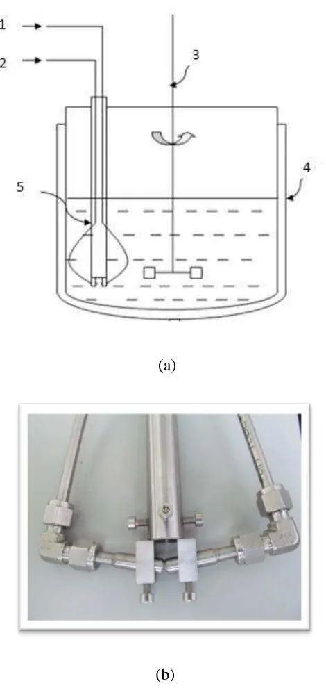 Figure 2. The 10L rig: (a) the schematic diagram (1 – the sodium lactate solution feed; 2 – the acid 