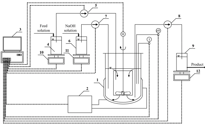 Figure 1. Laboratory test stand scheme of continuous crystallizer with a propeller stirrer for reaction crystallization of stru-vite, 1 – DT MSMPR type crystallizer with internal circulation of suspension, 2 – thermostat, 3 – computer, 4 – reservoir of 