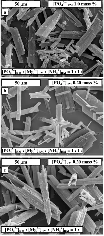 Figure 4. Habit and surface morphology of struvite crystals produced in presence of copper(II) ions (corresponding to Figure 3c)