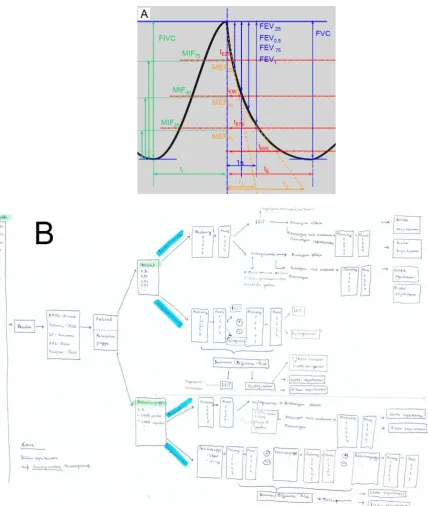 Figure 2. Requirements of the evaluation software. (A) illustration of parameters in pulmonary function test