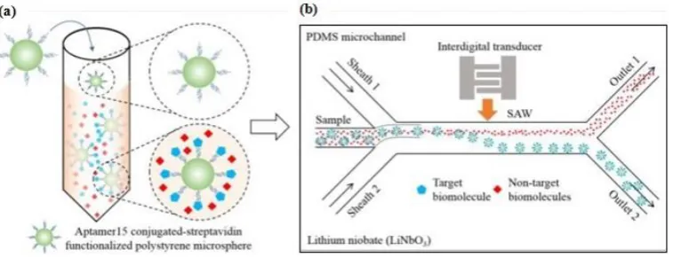 Figure 9. (a) Speciﬁc aptamer to form a microparticle−aptamer−target complex; the unbound particles remained in a free condition