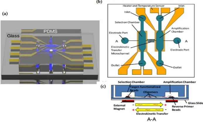 Figure 1. Schematic of microfluidic SELEX device which integrates selection and amplification steps