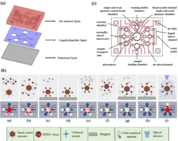 Figure 4. Integrated microfluidic chip system using a sandwich aptamer. (a) The device was composed of PDMS structures (air control layer & liquid chamber layer) and a glass substrate