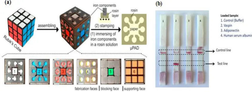 Figure 5. Paper-based analytical device aptasensor. (a) Rubik's cube-based µPAD aptasensor to generate a hydrophobic barrier and a testing zone