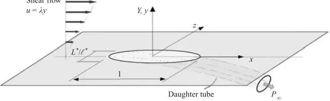 Figure 1. The ﬂow conﬁguration for streamlined branching of a relatively small daughterfrom a mother tube, with incident shear ﬂow, in non-dimensional form.